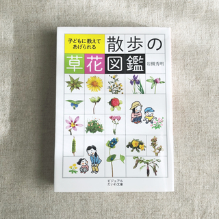 いつもの道、が愛おしくなる小さな図鑑