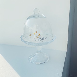 思わず衝動買いしたグラスドーム 