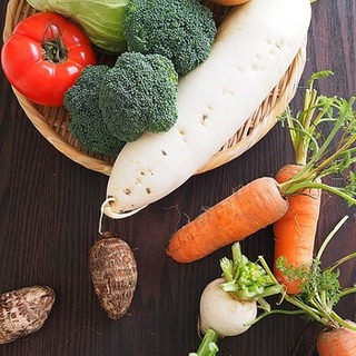 もう野菜を無駄にしない！正しい保存方法と賞味期限まとめ