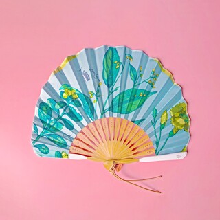 気持ちも涼しく♪
夏を乗り切るかわいい扇子