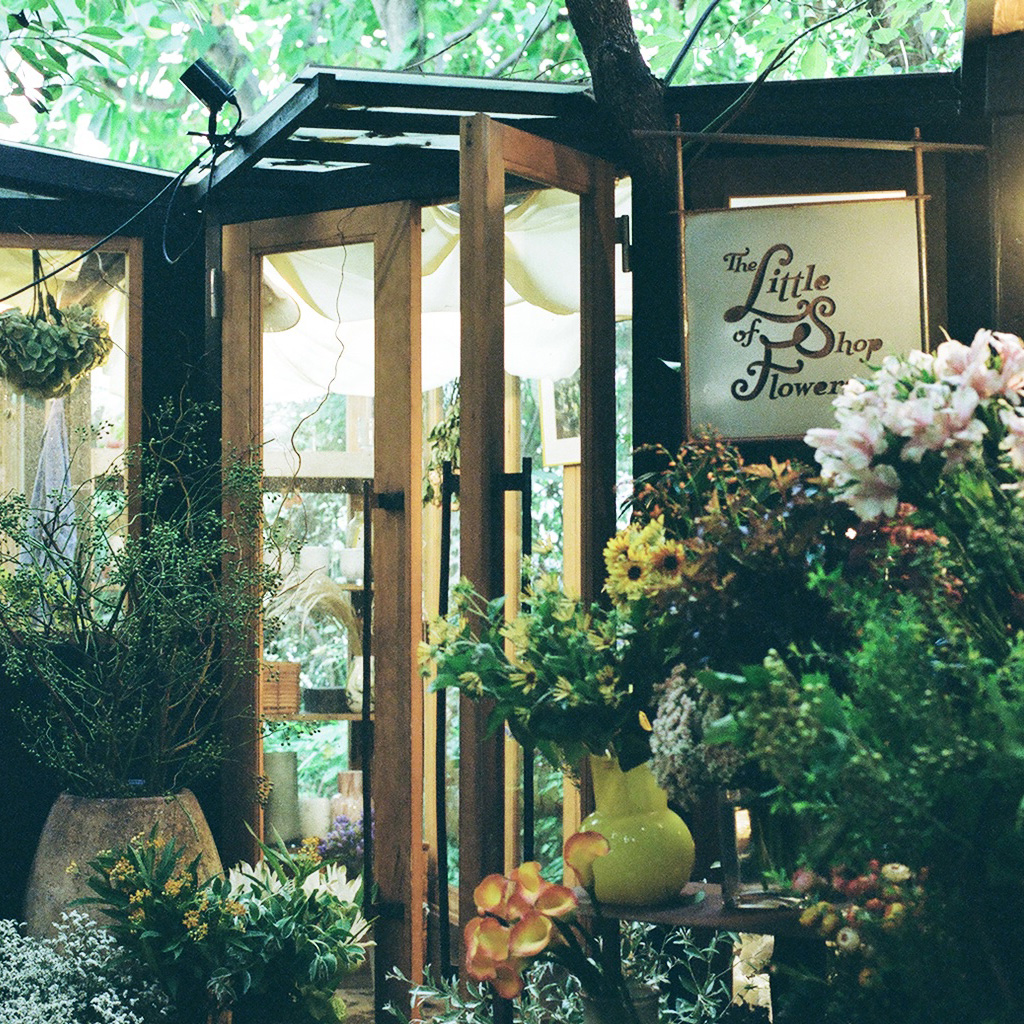 神秘的な木々に囲まれた古民家の花屋。
東京・神宮前の＜The Little Shop of Flowers＞へ | キナリノ