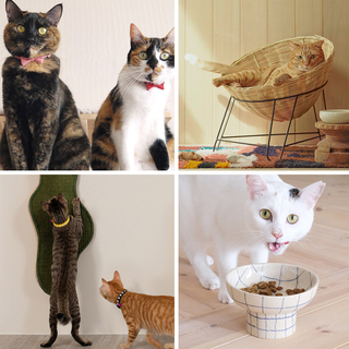 愛猫家エディター厳選！おしゃれで便利な《猫グッズ》