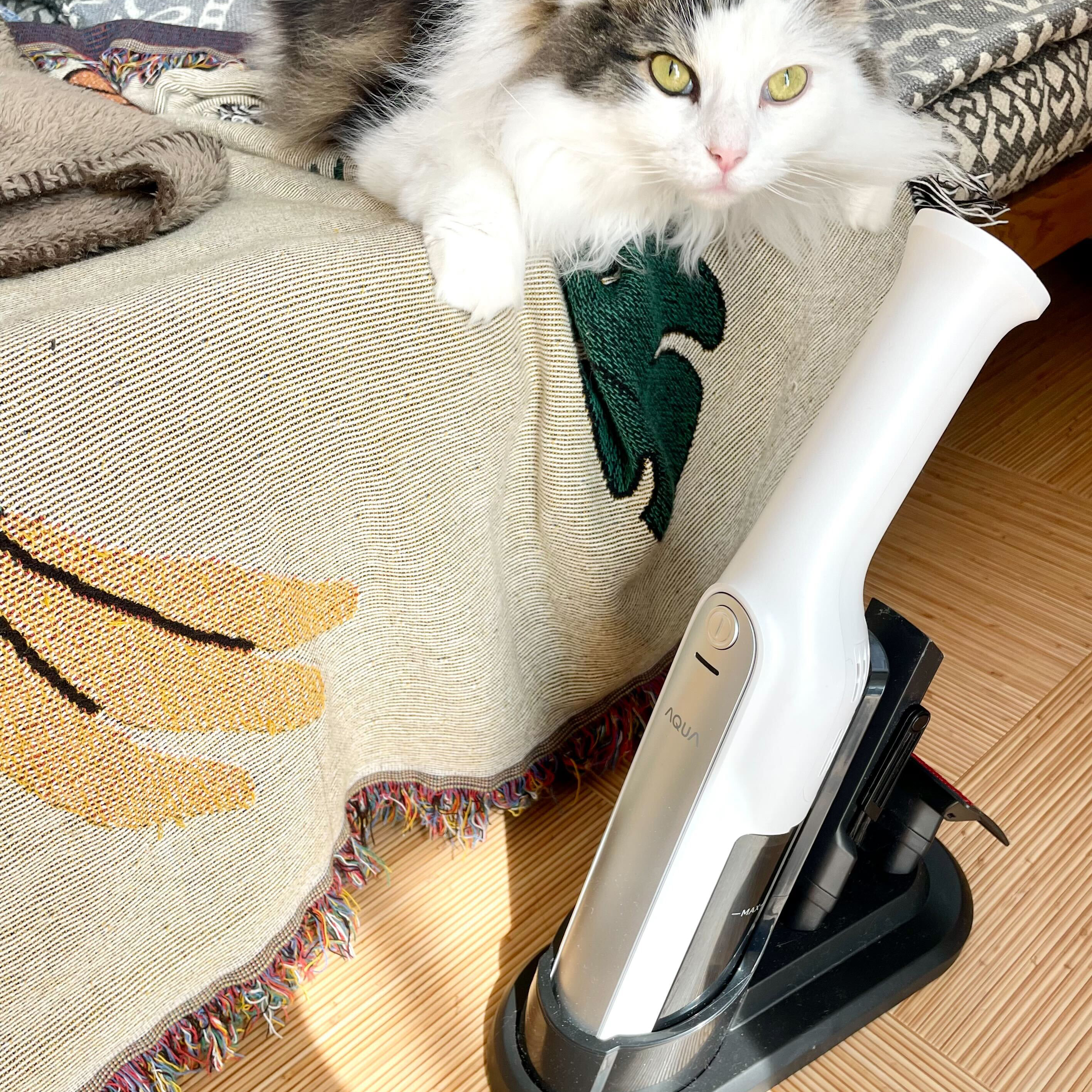 ペットの抜け毛や猫砂にも。「今掃除したい！」に最適なハンディ