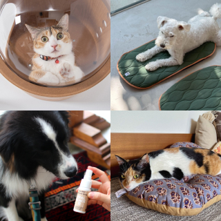 うちの子も喜ぶ♡おしゃれで使えるペット用品集めました