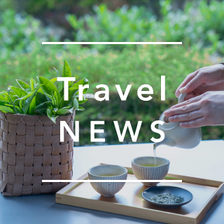 《今週の旅だより》静岡の茶畑で、自分だけの一杯を淹れよう