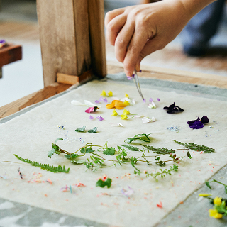 かわいい雑貨店におしゃれなカフェ。心ときめく1泊2日〈高知旅〉