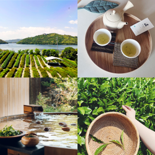 初夏の静岡で“お茶”しませんか？茶摘みに温泉、美食……お茶尽くしの旅