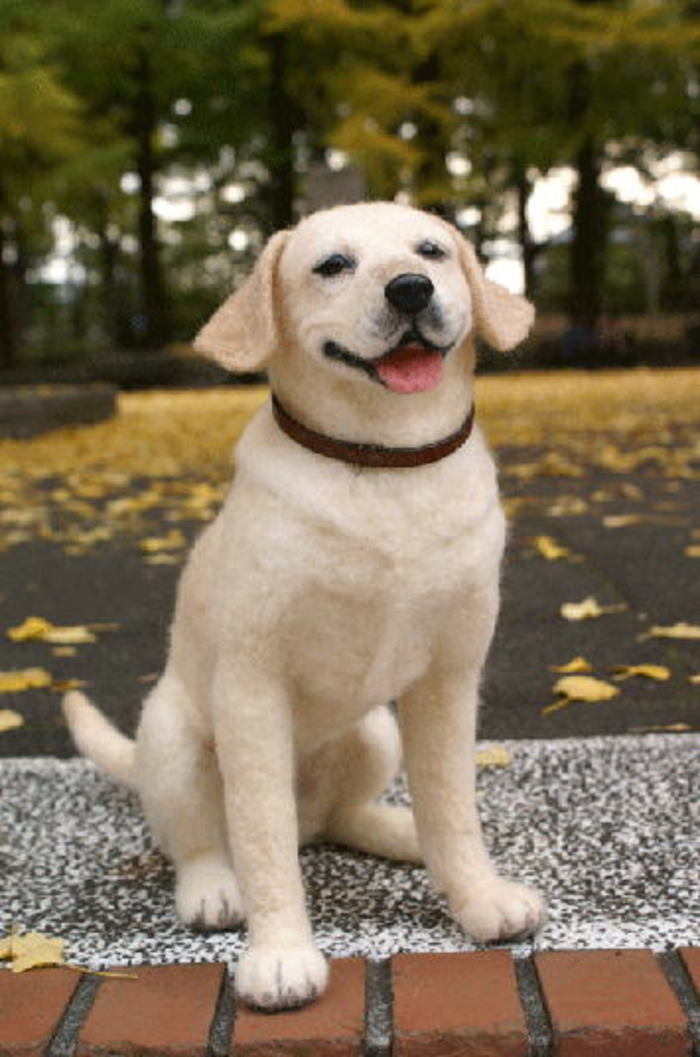 もう一度「うちのこ」に会いたい。羊毛フェルト作家・中山みどりさんの