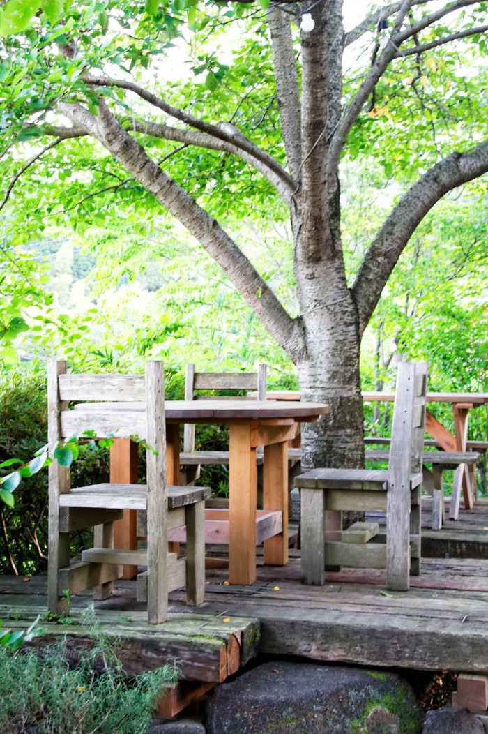 季節ごとに訪れたい＊森のレストラン「奈良・ラッキーガーデン」が