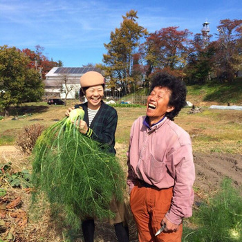 契約農家さんに直接足を運んで、食材選びをされています。