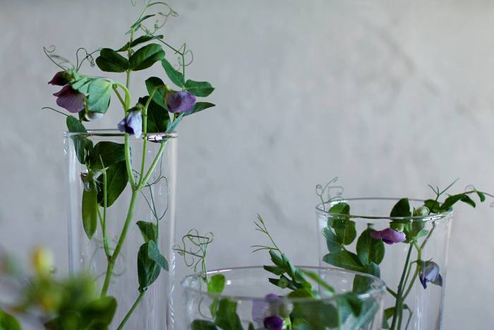 ナチュラルな癒しのある暮らし。こだわりの感じられる花瓶で花を活けよう。
