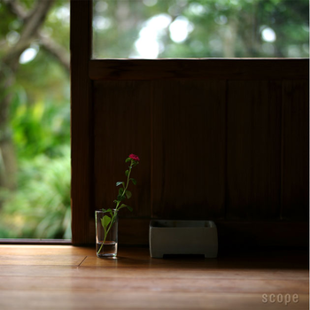ナチュラルな癒しのある暮らし。こだわりの感じられる花瓶で花を活けよう。