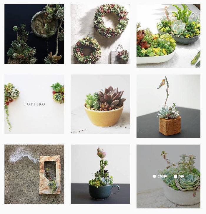 多肉植物に魔法をかけて♪アートな寄せ植えアレンジ『TOKIIRO』の世界