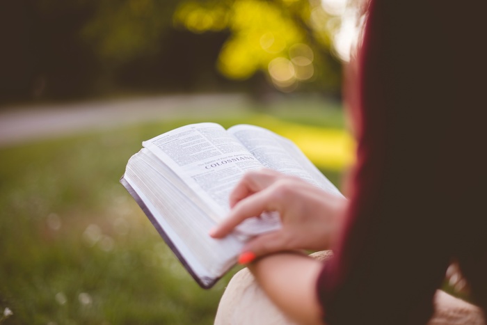晴れた日に、風に吹かれる草の音や香りを感じながら読書をしてみてください。