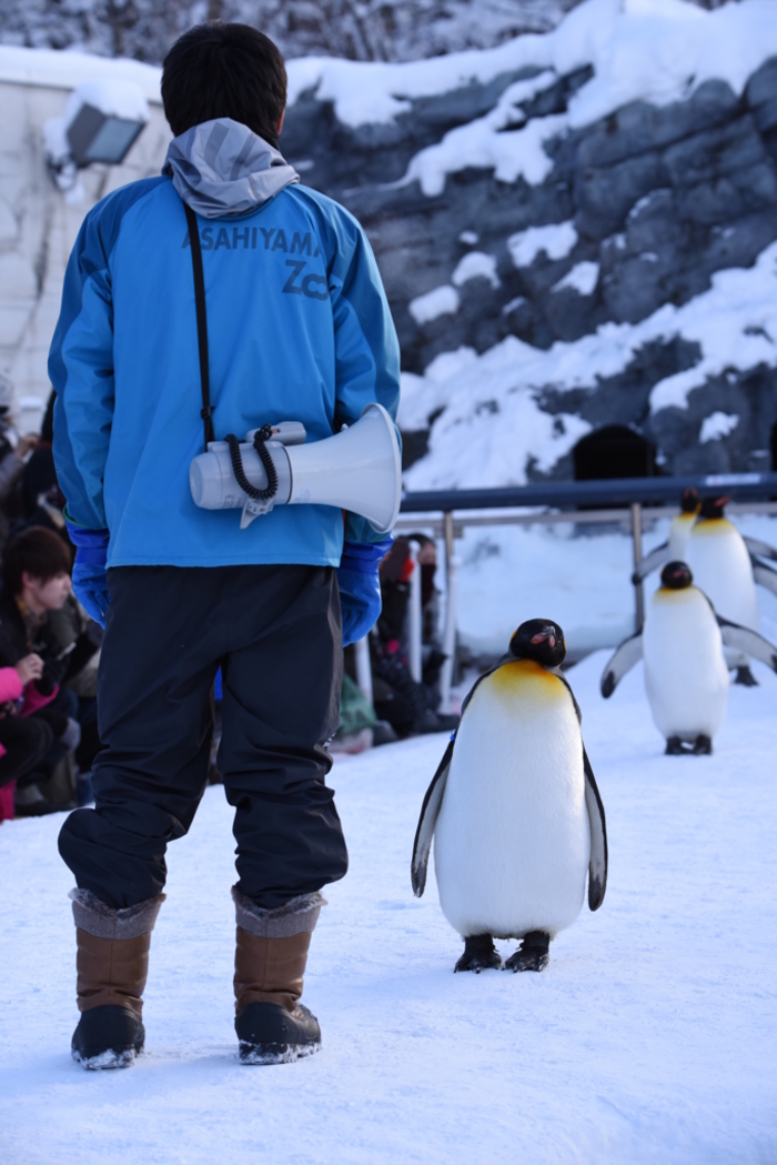 イメージが変わるよ！全国にある素敵な『公共の宿』おすすめ10選