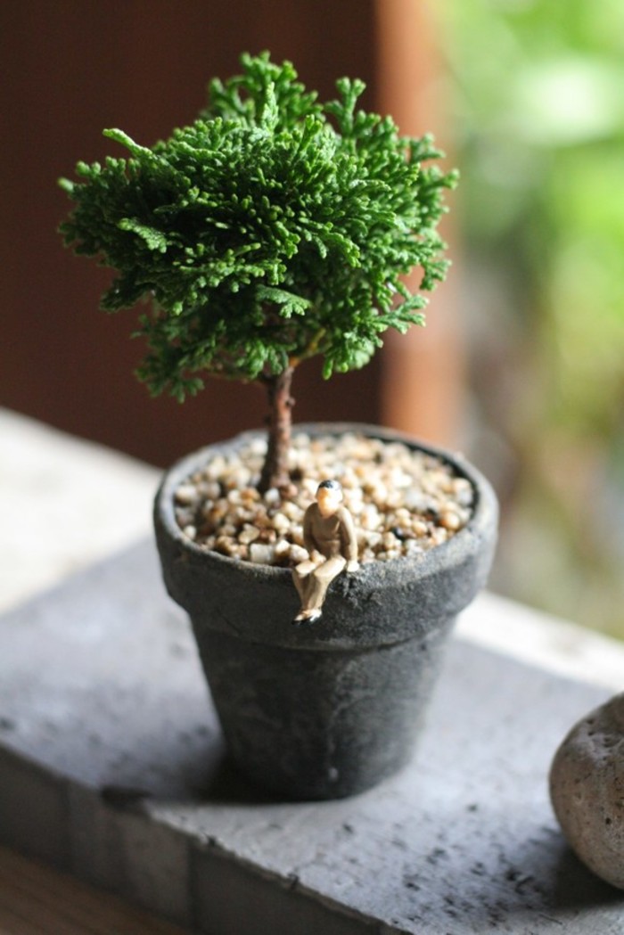 ミニチュア感が愛らしい。カジュアルな感覚で始める「ミニ盆栽」の世界