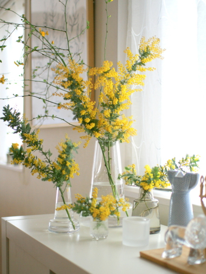 鮮やかなイエローに元気をもらおう。可憐で愛らしいミモザの季節です