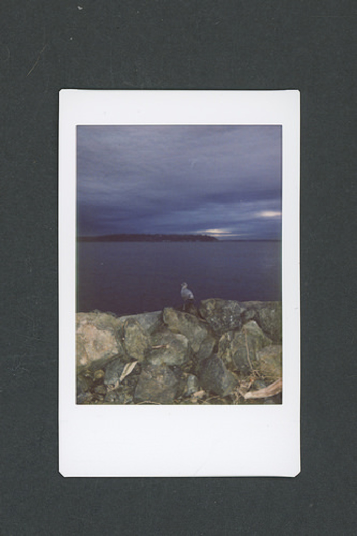 カシャッと取ってすぐにシェア！今だから欲しいポラロイドカメラ