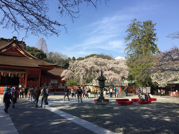 全国に1300社ある浅間神社の総本宮です。富士山を神体山として祀る、富士山要の神社です。本殿は、国の重要文化財に指定されている、東海地方最古の歴史ある社で、富士山の大地の気がみなぎるパワースポットとして知られています。