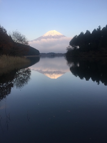 1384年に富士山本宮浅間大社神主の田貫次郎実長がこの地に隠居したことから『田貫沼』と呼ばれ、その後、『田貫湖』と呼ばれるようになりました。広く静かな湖から、富士山がそびえ、風のない穏やかな日には、湖に富士山の姿が鏡のように映り、とても神秘的なんです。
