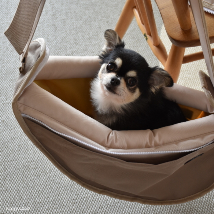 北欧＆シンプルスタイルの部屋で楽しむ「犬のいる暮らし」 | キナリノ