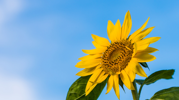暑くても 毎日気持ちいい 夏を爽やかに過ごす 7つ のスッキリ習慣 キナリノ