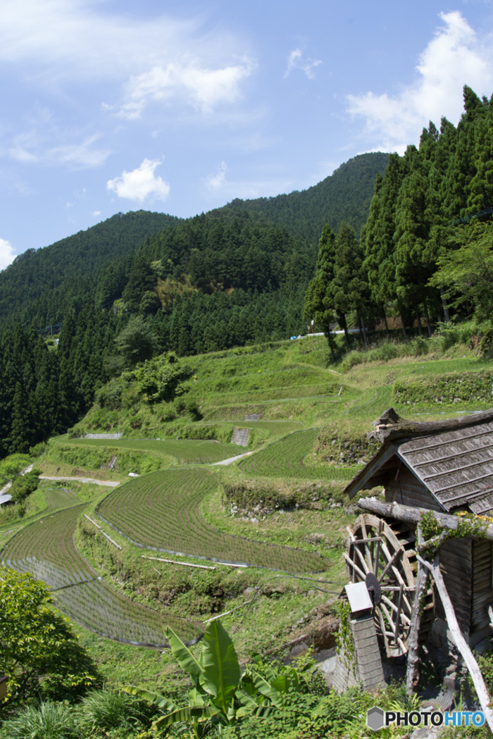 四国地方】日本で最も美しい村 ～徳島県上勝町編～ | キナリノ