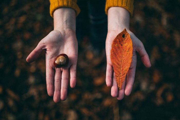 Photo by Felix Russell-Saw on Unsplash