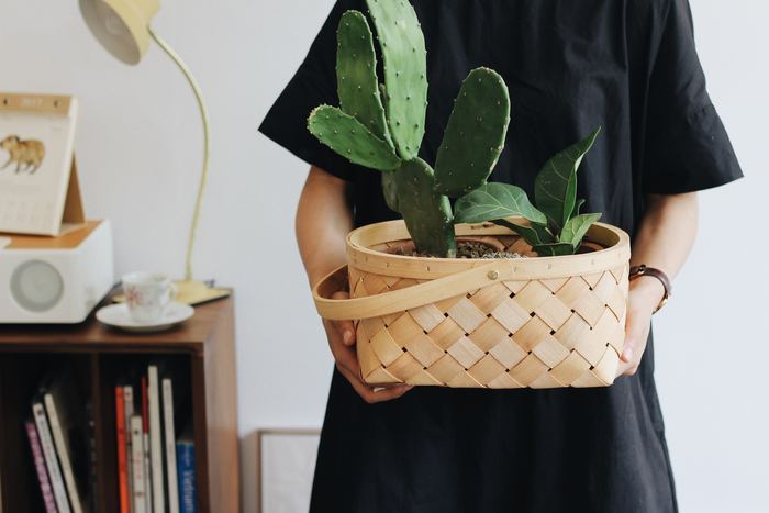 Photo by Lizzie on Unsplash