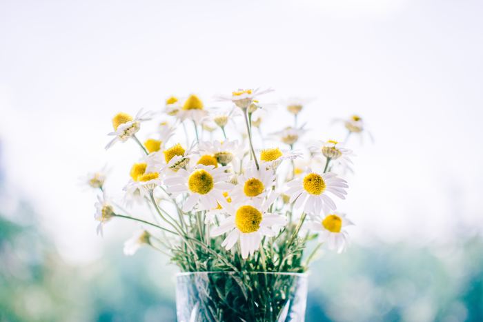 Photo by Rodion Kutsaev on Unsplash
