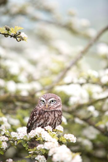 Photo by Andy Chilton on Unsplash