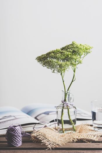 Photo by Gaelle Marcel on Unsplash