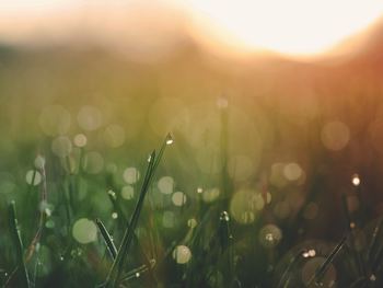 洗顔は、お肌の汚れや余分な皮脂を洗い流すためですが、皮脂は落としすぎてすぎると乾燥して、お肌が荒れる原因になってしまいます。洗い心地のやさしい石鹸は、皮脂を落としすぎません。