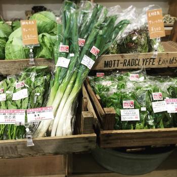 葉物野菜や買い出しで足りていない食材を最後にプラス。冷蔵庫や食品庫をみまわして買いもれがないかチェックしましょう。