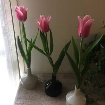 春になるとお花屋さんにも色とりどりのお花が並びはじめますね。お花があるとお部屋の中もぱっと明るい雰囲気になるので気持ちも明るくなるはず!お買い物のついでにお花屋さんに寄ってみたりフラワーベースを新調するのもいいかも。