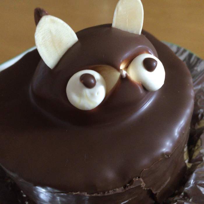 【たぬきケーキ】ショート/ブラック(=ナチュラルブラック) 今まで食べた『たぬきケーキ』その2、2024/10 | うずら ぽってり