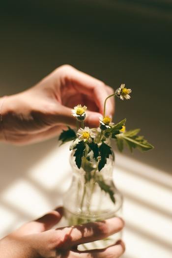 「切り花」も美しさを長持ちさせるためにはお世話が必要です。動物を飼いたくてもいろんな事情で飼えない方は多いですよね。もちろん動物ほどではありませんが、生きている事を実感し手をかけた分だけ愛着が湧くものです。
