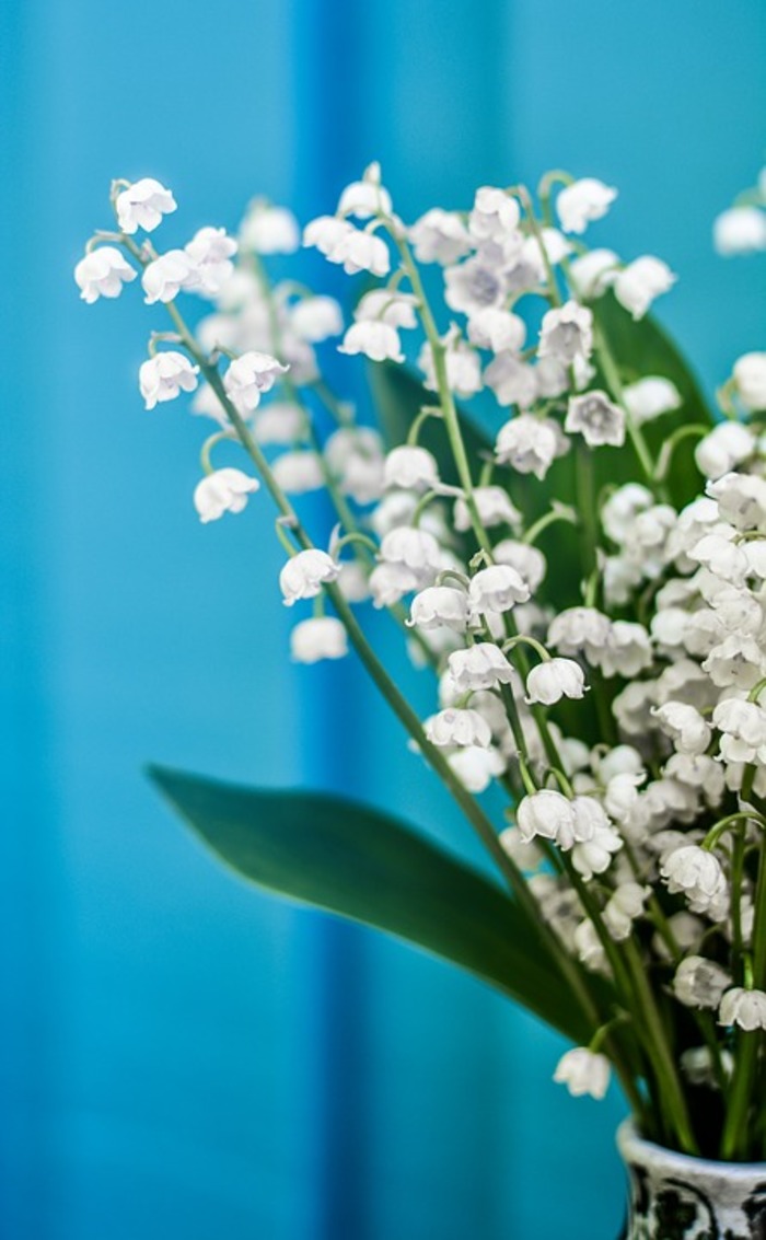 すずらん」を大切な人に贈ろう。5月1日は可憐なお花「すずらんの日