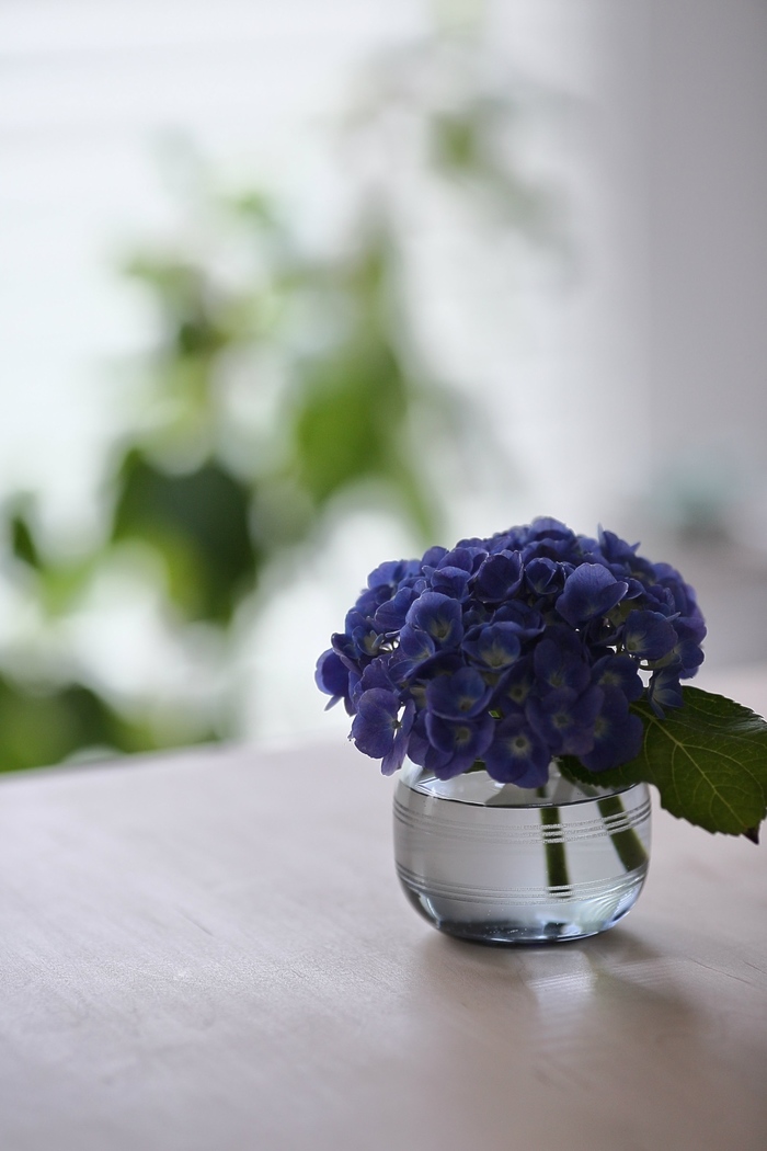 花瓶　造花　草　フラワーベース　紫陽花 楽天市場】【とっておき価格】公式 shesay ぽってりとした佇まい