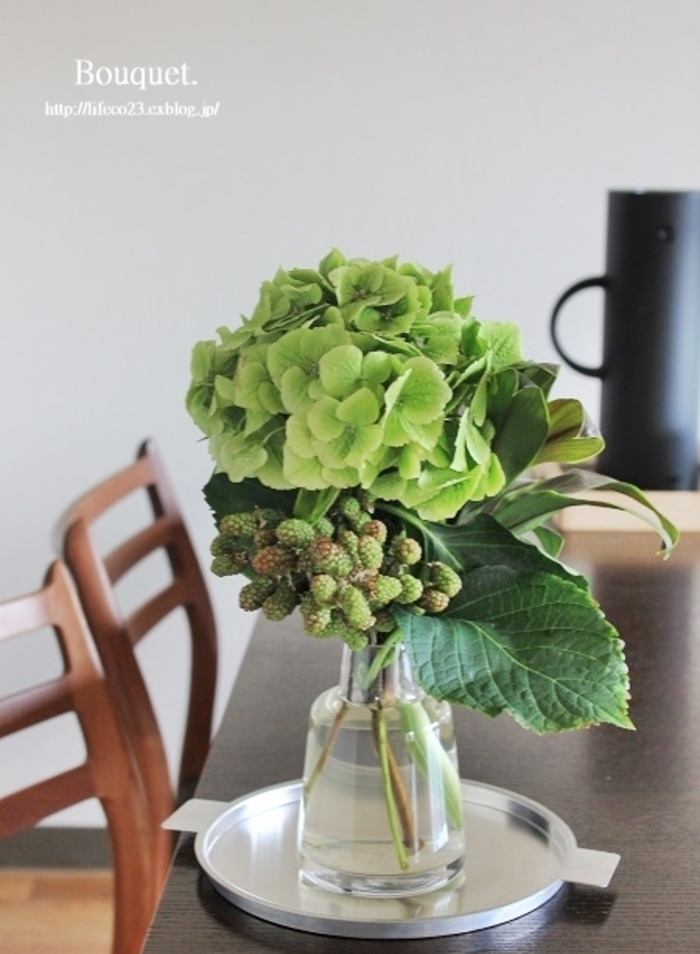 夏はいつだって『紫陽花』から始まる。切り花からドライフラワー