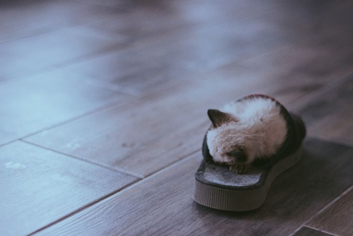 Photo by Lara Crespo on Unsplash