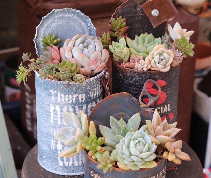 リメ缶 リメイク缶 リメ鉢 リメイク鉢 多肉植物 寄せ植えなどに リメイク缶