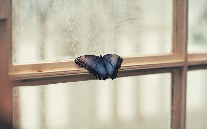 Photo by Jian Xhin on Unsplash