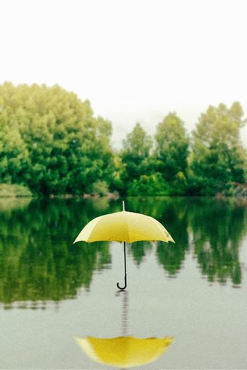 Photo by Saffu on Unsplash