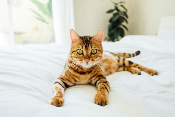 Photo by Paul Hanaoka on Unsplash