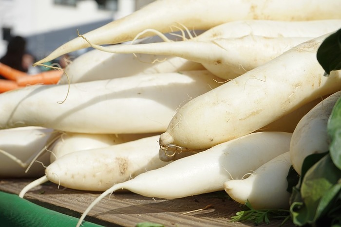 寒くなってくると、鍋や煮込み料理で活躍してくれる冬野菜の代表。コトコトと鍋にかけて出汁や煮汁をしっかり含ませた大根は、体が温まるだけじゃなく心も癒してくれますよね。
【賞味期限】
冬場:1カ月ほど 夏場:1週間ほど
日持ちするので、特売の日に多めに買っておくのも◎。(重たさだけが難点……。持ち帰れる範囲で頑張って!)
【オススメの保存方法】
水分が抜ける原因になるので、葉の部分を切り落とす。常温で保存するなら、泥は洗い流さず新聞紙で包み、日が当たらず風通しのよい場所に立てた状態にしておく。