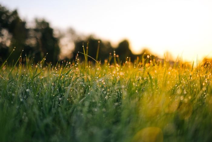 Photo by Jonas Weckschmied on Unsplash