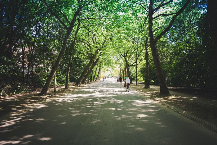 マストではありませんが、やっぱり近くに大きな公園があることは、心と身体の健康のために良いことです。
家の近所で心地よい散歩コースやランニングコースを見つけられると、住んでいる町がますます好きになれそうです。