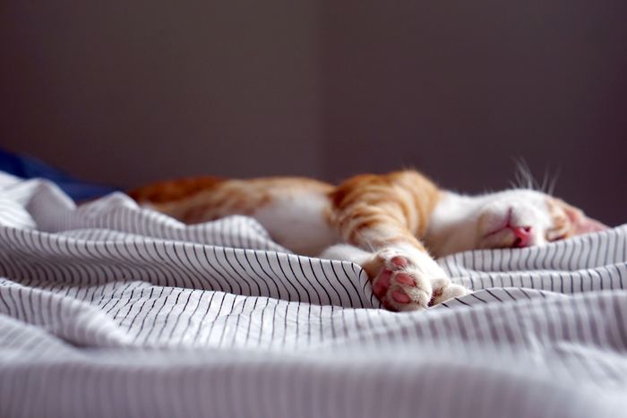 Photo by Lauren Kay on Unsplash