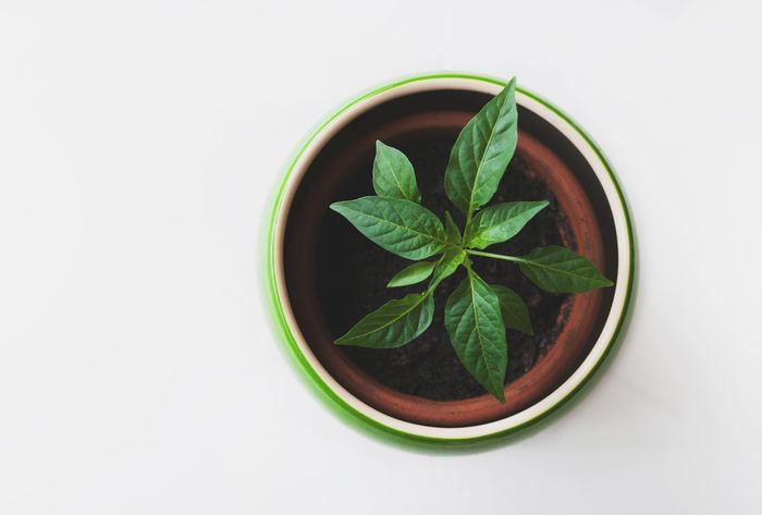 Photo by Peter Žagar on Unsplash